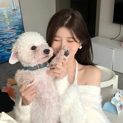 约会规则第五季